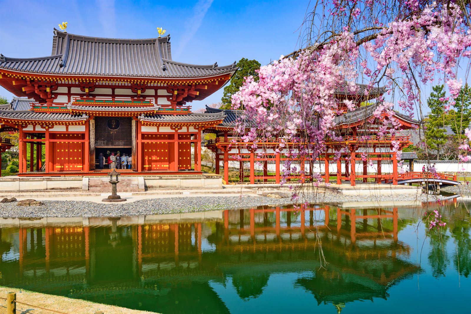 Red Byodo-in temple hall in Uji, Japan, reflected in its pond with cherry blossoms, Japan being the top country in the Conde Nast Readers Choice Awards